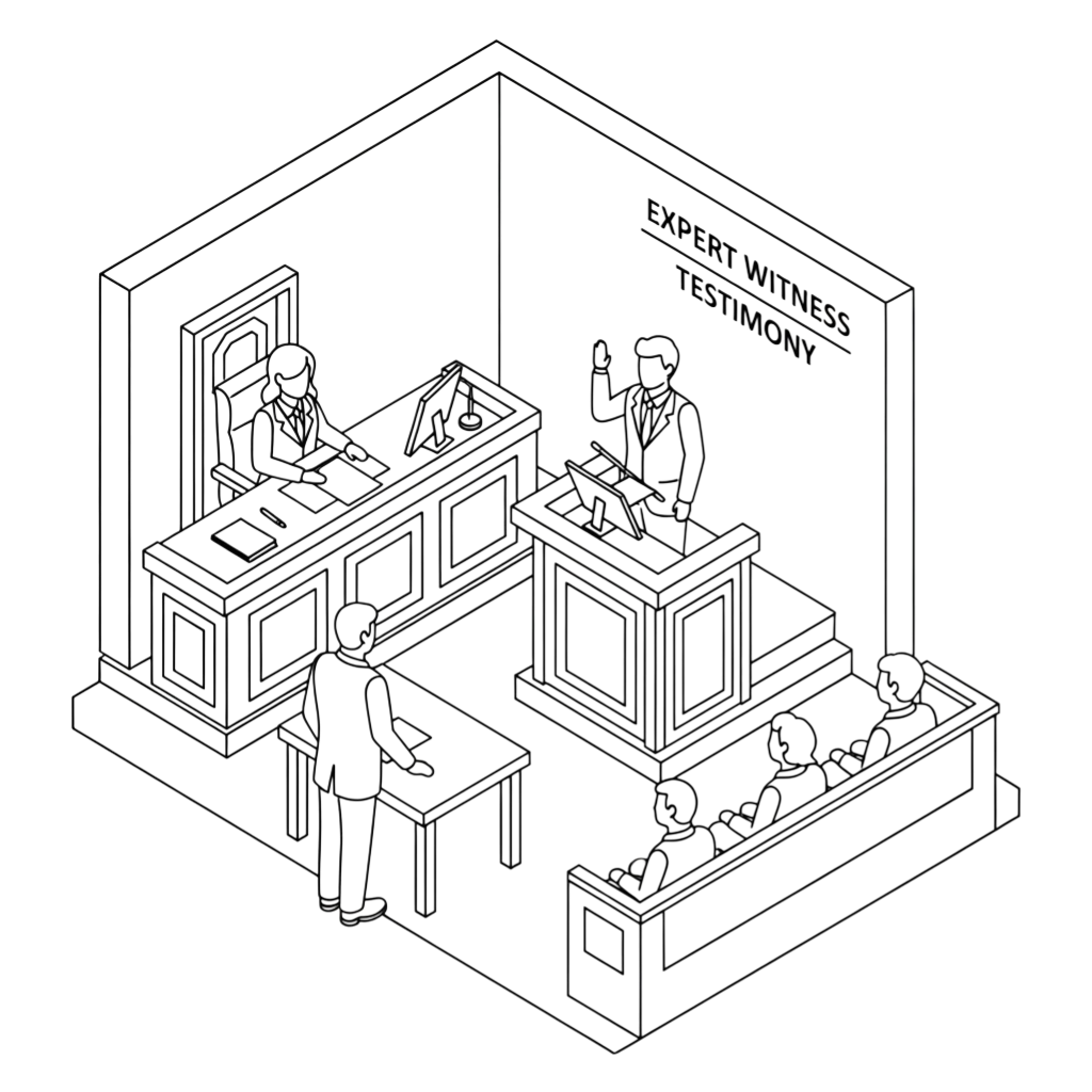 Expert Witness Services